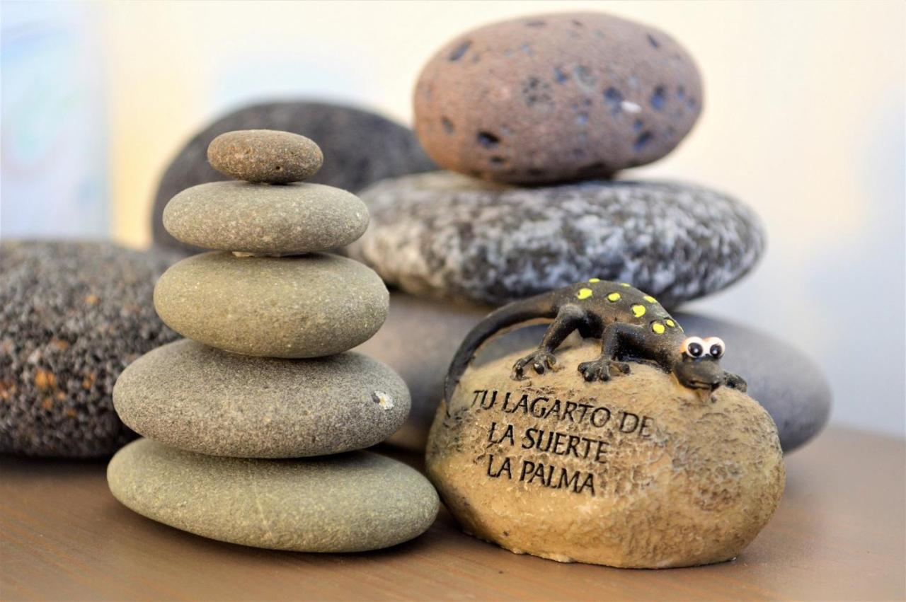 Apartmán Gecko Tazacorte Exteriér fotografie